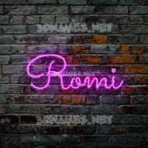 Meet your Posher, Romi